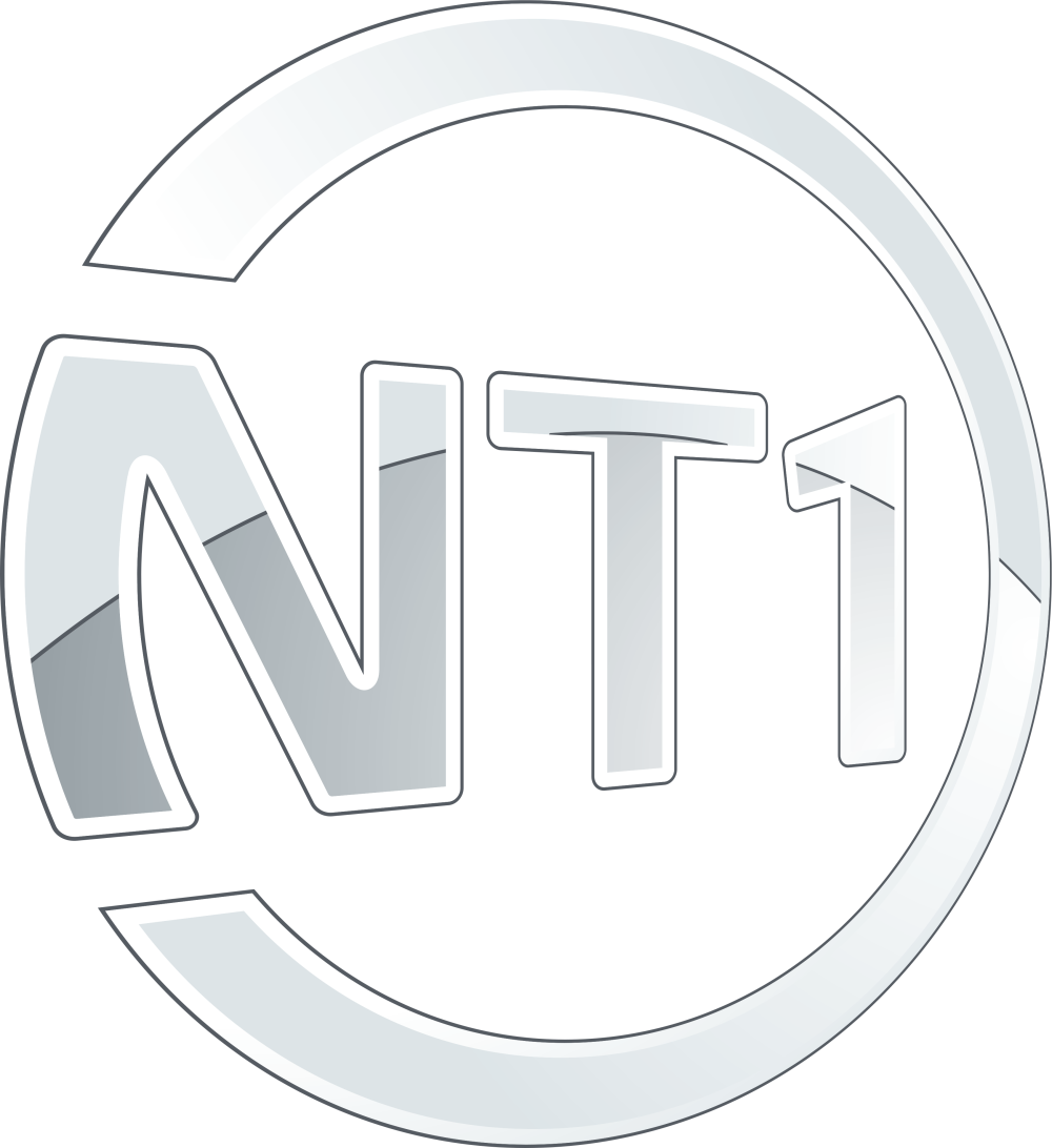 Previous - Nt1 Logo Png (1000x1092), Png Download