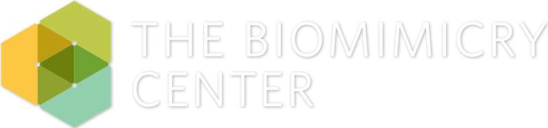 The Biomimicry Center At Arizona State University - Biomimicry Center Asu (800x188), Png Download