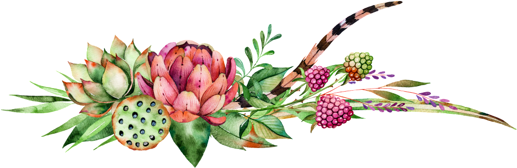 Fleshy Berries Lotus Watercolor Hd Png - Kingtex Bright Cactus Pattern Bedding Set Green Plants (1024x341), Png Download