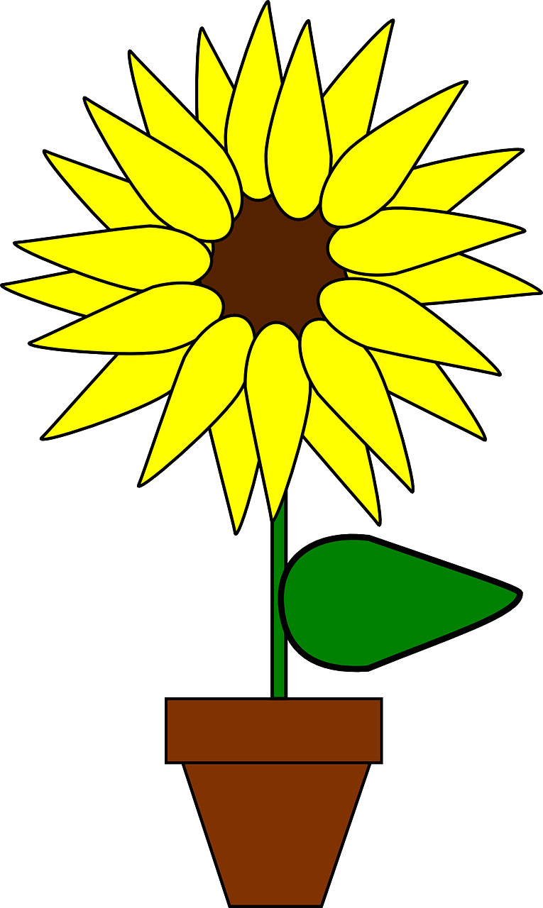 Sunflower Clipart Girasol - Sunflower In Pot Clipart (566x800), Png Download