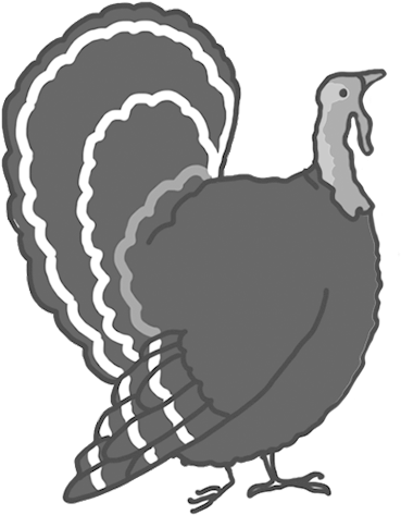 Drawn Turkey Clipart - Thanksgiving (376x472), Png Download