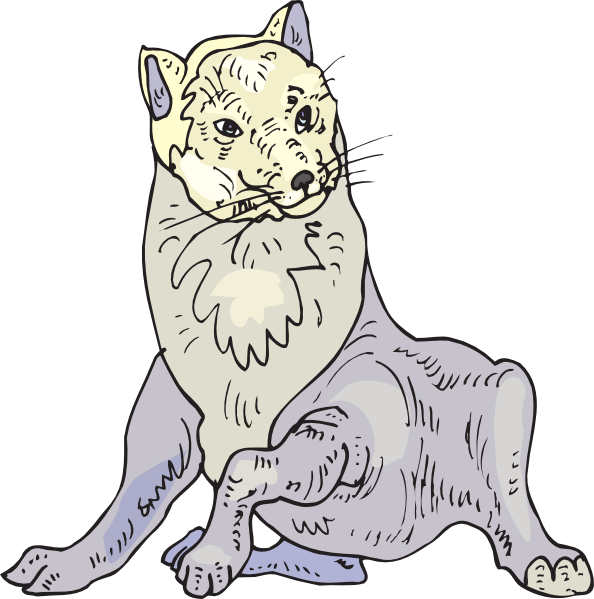 Polar Fox Svg Clip Arts 594 X 599 Px (594x599), Png Download