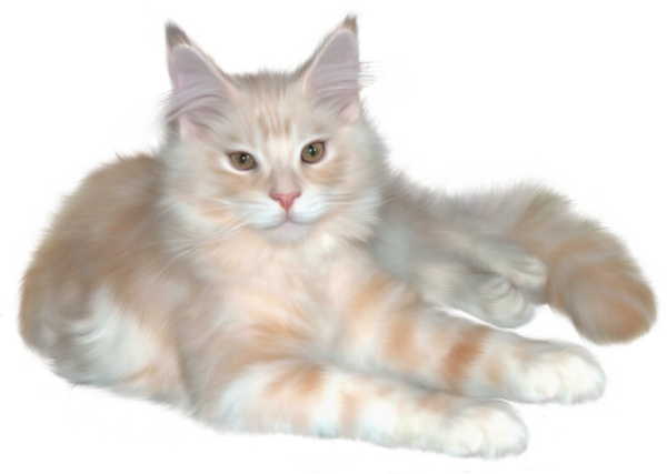 Pretty Cat Clipart - Real Cats Clip Art (600x427), Png Download