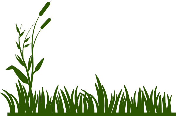 Grass Free On Dumielauxepices Net - Jungle Grass Clipart (600x396), Png Download
