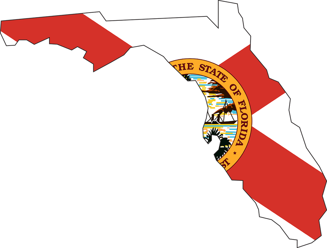 State Of Florida Png - New York Florida California (948x720), Png Download