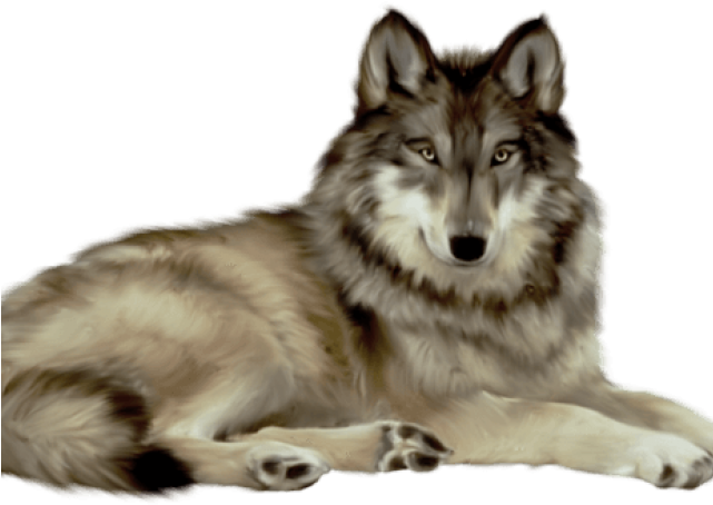 Gray Wolf Clipart Invisible Background - Wwseven Animal Crystal Diamond Painting Diy Resin Diamond (640x480), Png Download