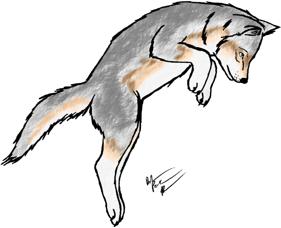 Free Clipart Wolf Pup Clipart Collection Gray Wolf - Wolf Pup Clip Art (900x734), Png Download