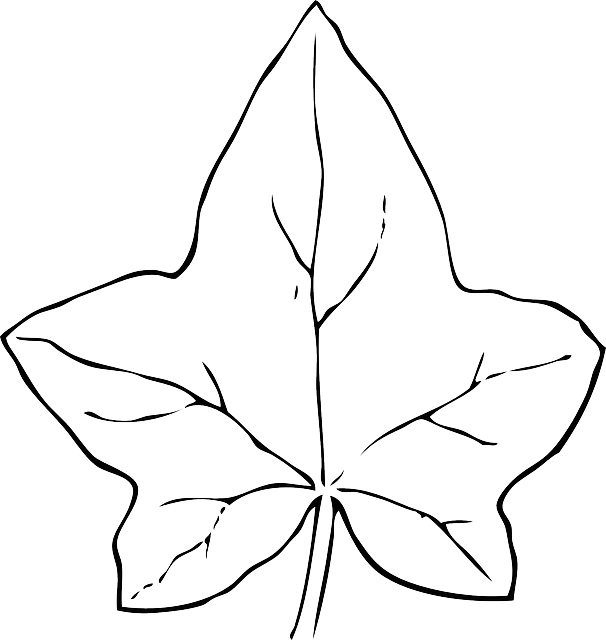Pumpkin Leaves Clipart Group Royalty Free Download - Leaf Clip Art (606x640), Png Download