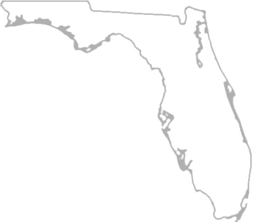 70 - Transparent Picture Of Florida (518x440), Png Download