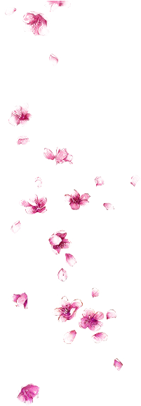 Petal Watercolor Painting - Pink Square Watercolor Png (500x575), Png Download