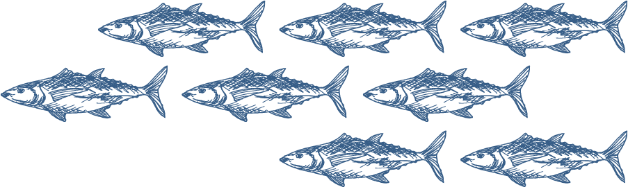 School Of Fishes - Sushi (903x270), Png Download