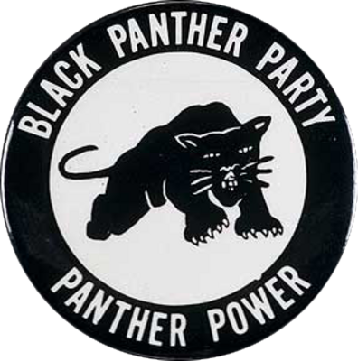 Download Hd 15 Black Panther Party Logo Png Transparent Png Image Nicepng Com