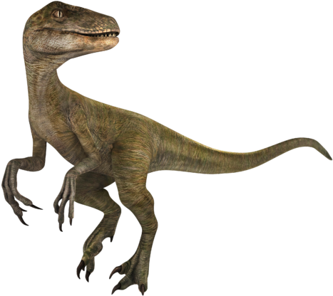 File - Velociraptor - Wiki (480x480), Png Download