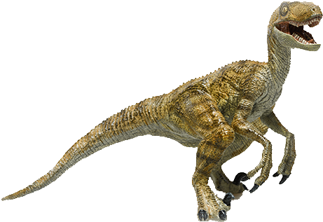 Velociraptor - Photography (500x500), Png Download