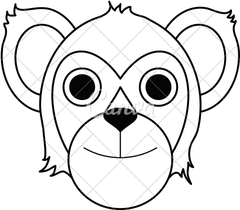Koala Line Drawing At Getdrawings - White-headed Capuchin (550x550), Png Download