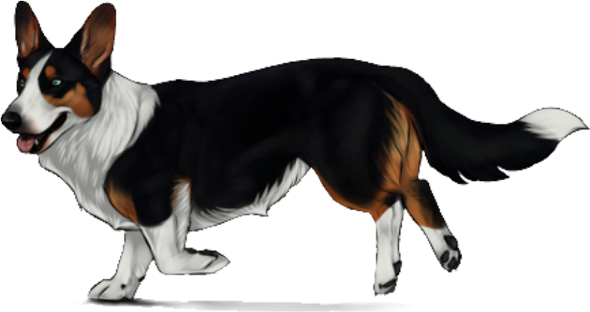 Cardigan Welsh Corgi - Cardigan Welsh Corgi Png (1366x768), Png Download