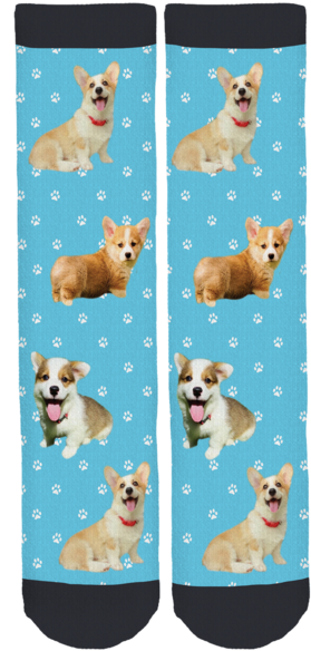 My Fav Corgi Crew Socks - Rhea The Naked Birdie Socks (285x600), Png Download