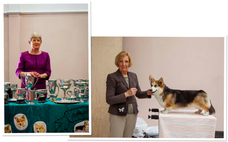 The Inside History Of Queen Elizabeth's Eight-decade - Pembroke Welsh Corgi (768x461), Png Download