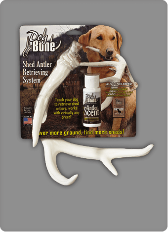 Product Dog Bone Shed Antler Training System - Dog Bone Shed Dummy Retrieving Antler (340x469), Png Download