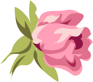 Pink Roses Clipart - Vintage Pink Rose Ornament (round) (333x408), Png Download