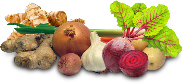 Air Cargo Agent In Mangalore, Fresh Vegetables & Fruits - Vegetble Hd Image In Png (610x400), Png Download