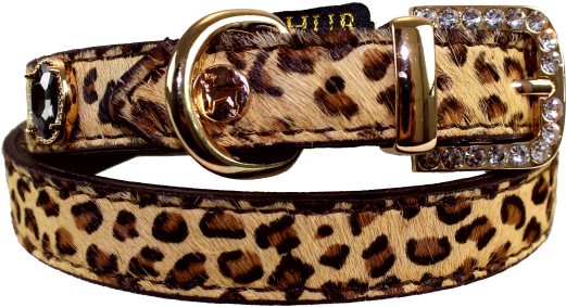Belt (600x352), Png Download