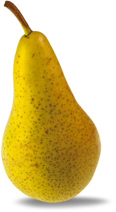 Fruit Pear (476x438), Png Download