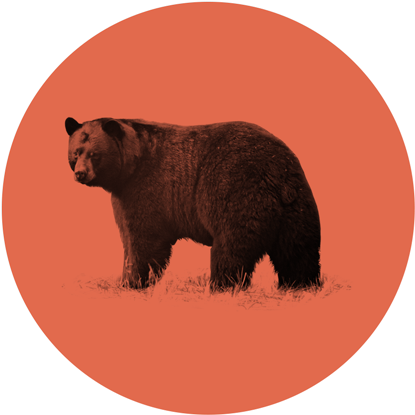 Made In Ca - Pacificana (450x450), Png Download