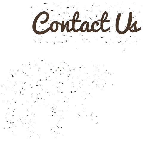 Contact Us - Bear (502x486), Png Download