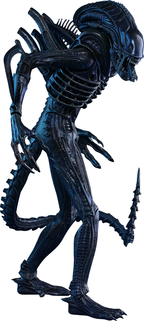 Download Hd Alien Warrior Sixth Scale Figure By Hot Toys Movie Hot Toys Alien Warrior 1 4 Transparent Png Image Nicepng Com