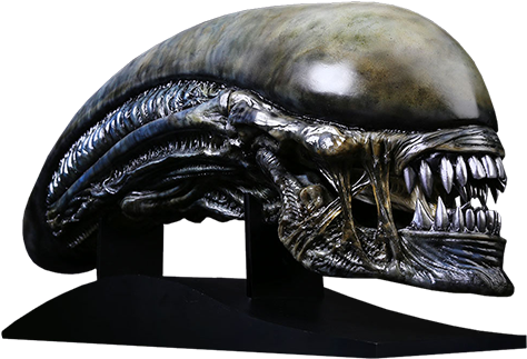 74" Alien - Preorder: Alien: Covenant Replica 1/1 Xenomorph Head (480x328), Png Download