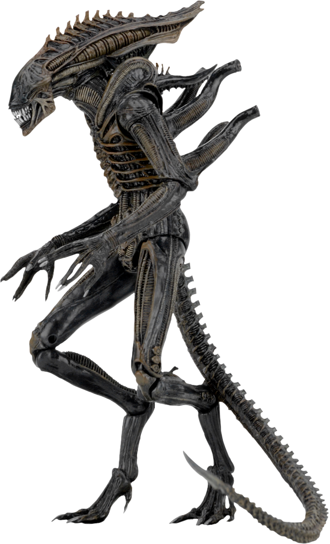 Aliens - Defiance - Ali - - Neca Alien Series 11 (672x1108), Png Download