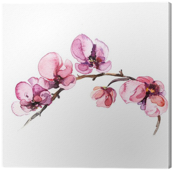 The Watercolor Flowers Orchid Isolated On The White - Skull Earrings Rose Gold Studs Day (400x400), Png Download