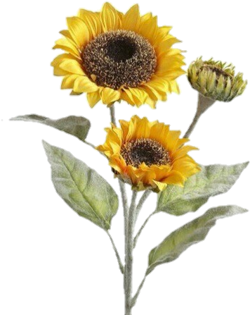 Png & Wallpapers - Png Stickers (370x459), Png Download