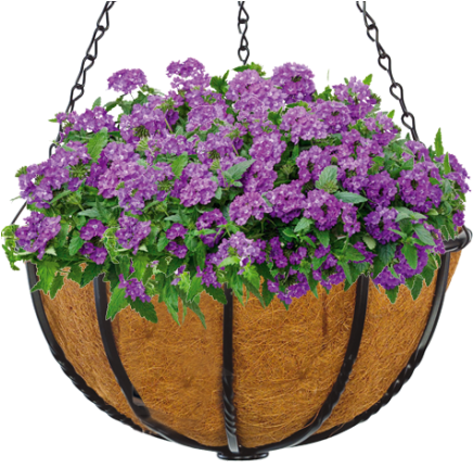 Blacksmith 14 Inch Hanging Basket (475x435), Png Download