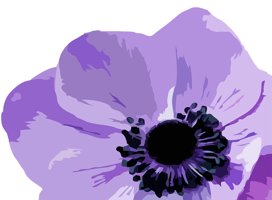 Monstros Png - Anemone Flower On White Green Handmade Bucket Bag Handbag (960x655), Png Download