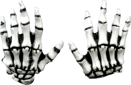 White Junior Skeleton Hands - Junior White Skeleton Hands (555x555), Png Download