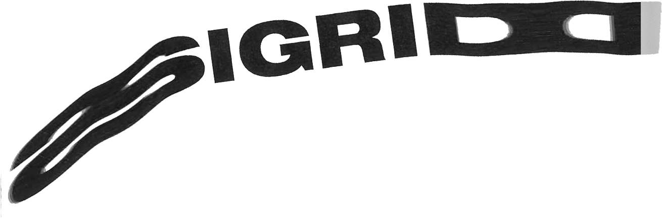 Sigrid - Sleeve (1310x431), Png Download