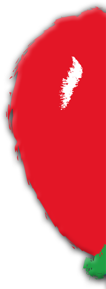 Red Balloon Day Nursery - Red Flag (217x600), Png Download