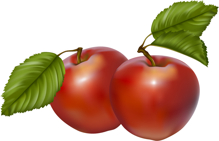 Vintage Vegetable Clip Art - Two Apples Clipart Png (750x502), Png Download