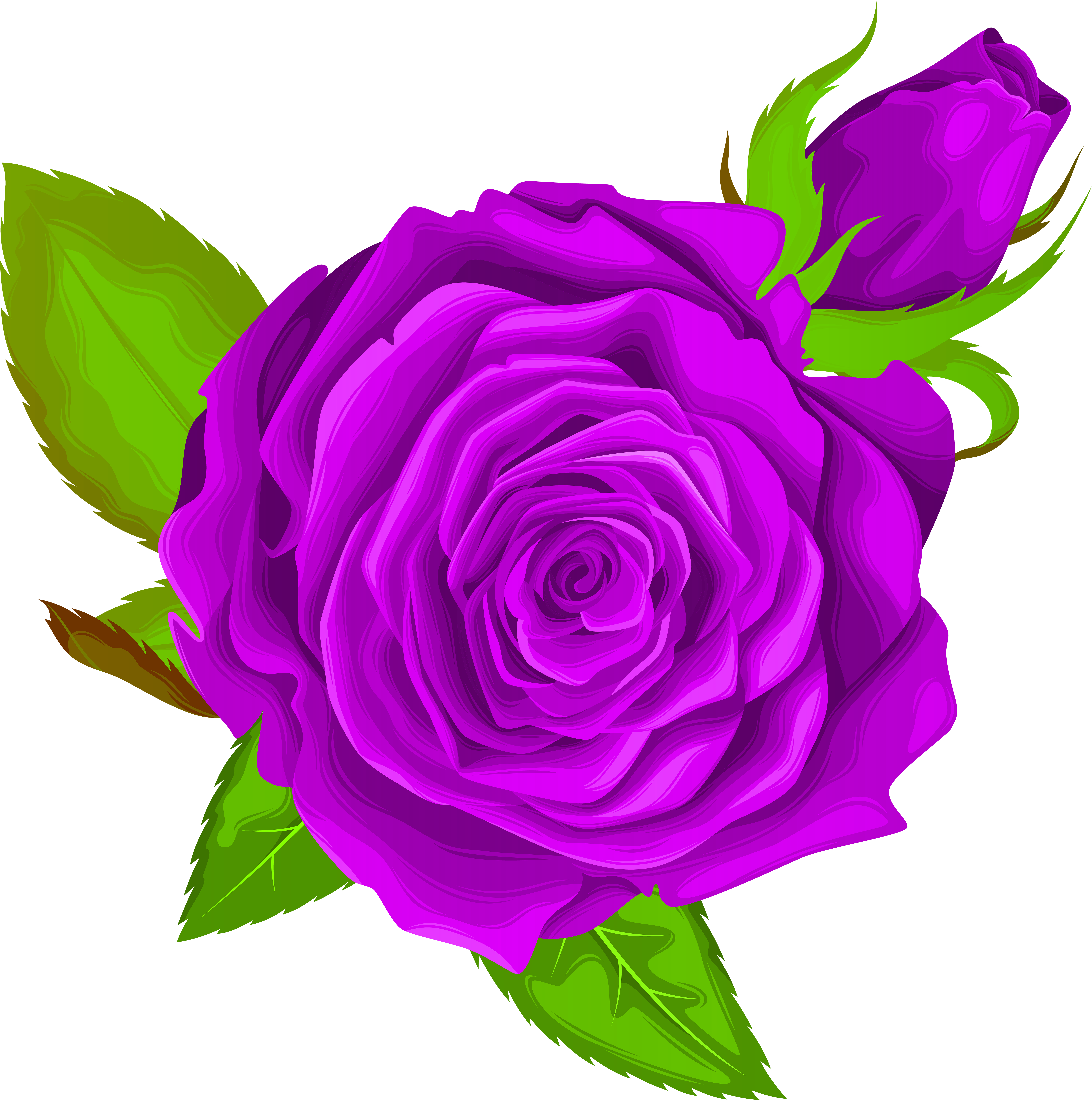 Purple Rose Png (7942x8000), Png Download