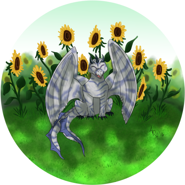 Definition (894x894), Png Download