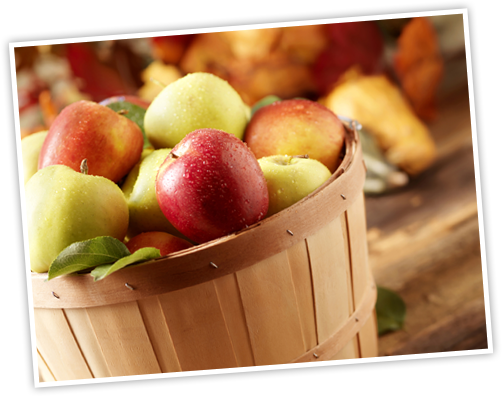 Growing Apples - Apple (502x396), Png Download