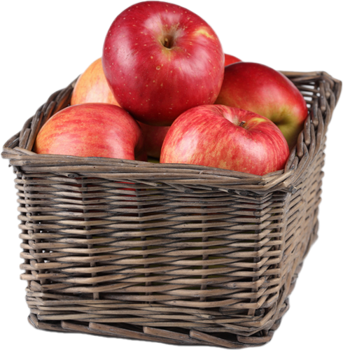 Tube Fruit - Apple Basket Png (490x500), Png Download