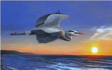 Charles Wallis - Great Blue Heron (360x360), Png Download