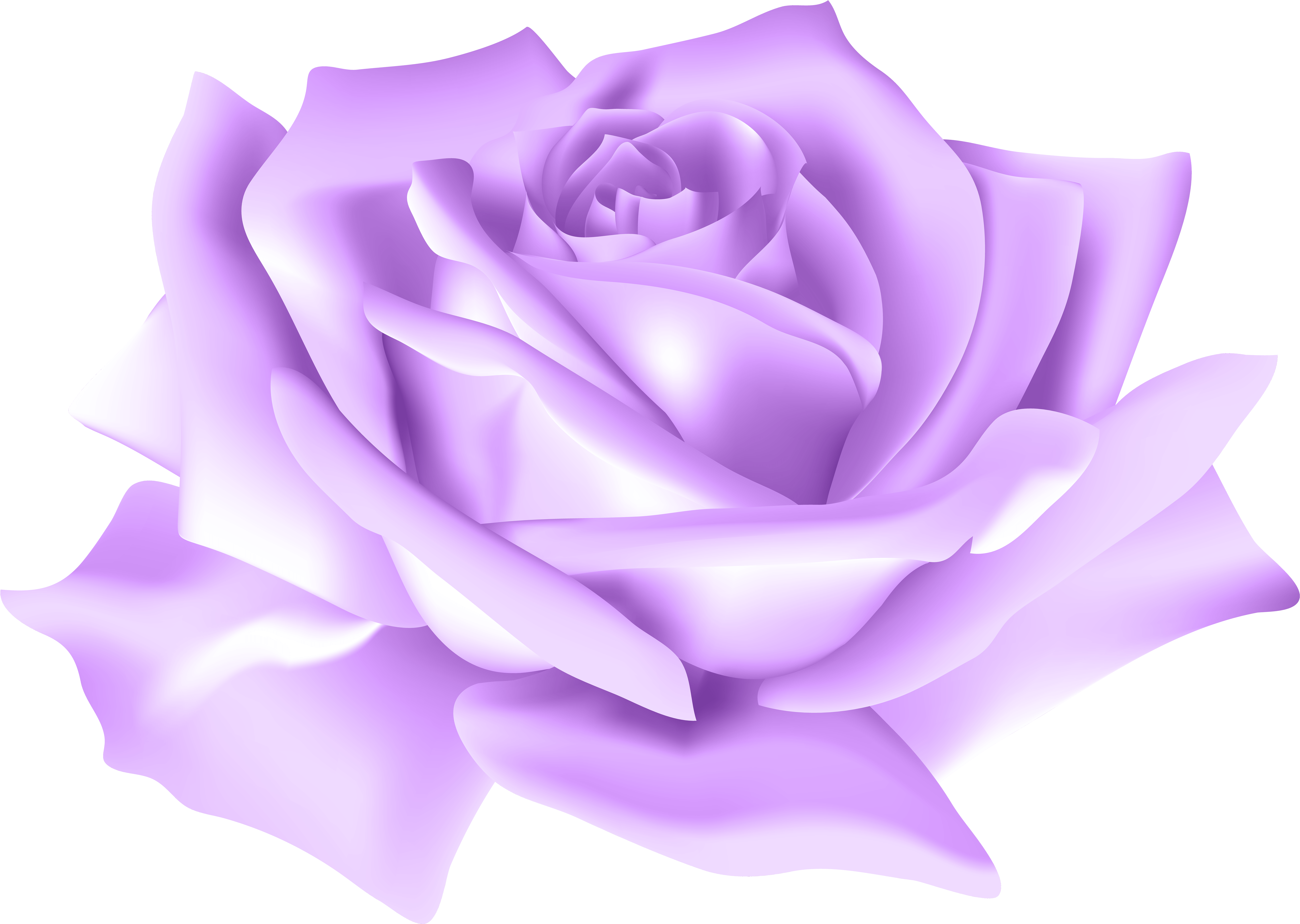 Purple Rose Flower Png Clip Art Image Gallery Yopriceville (8000x5688), Png Download