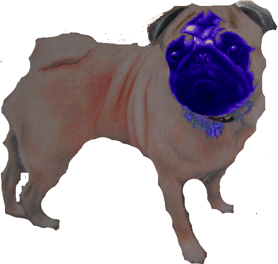 Blue Head Mega Pug - Pug (597x573), Png Download
