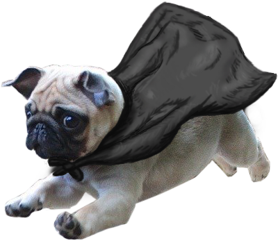 Thug Life Pug Png Transparent Image - Pug Transparent (471x370), Png Download