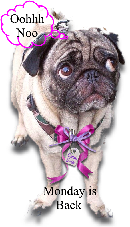 Pug, Pug Dogs, Pugs - Pug (500x800), Png Download