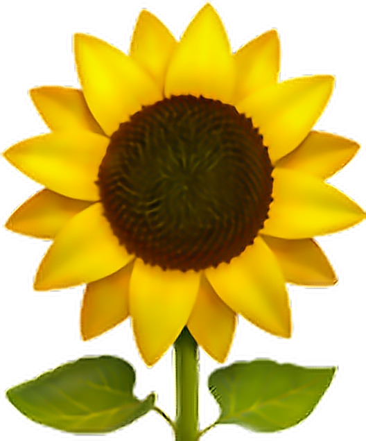 Flower Sun Freeedit Iphone - Emoji Sunflower (528x636), Png Download